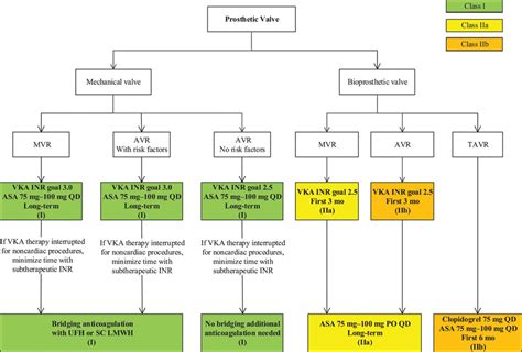 guidelines for Lv thrombus anticoagulation